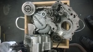 13987294_10206771322430668_219384580_o